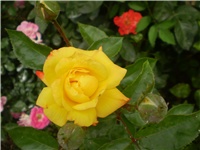 26dacdf8-Picture 6222.jpg